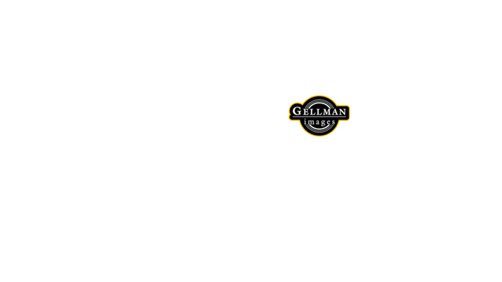 Logos Grid 2025 WLL WHITE 2